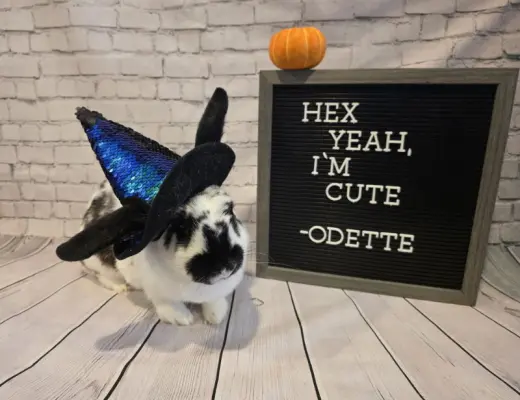 Odette