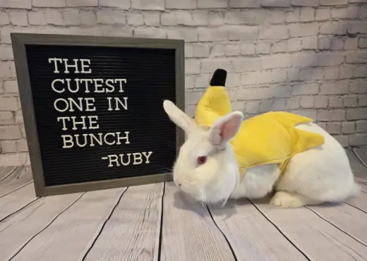 Ruby