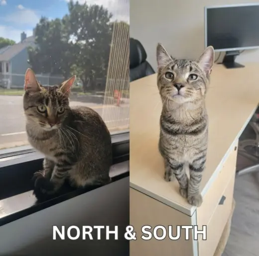 North / South