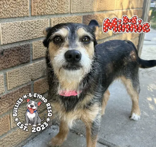 Minnie