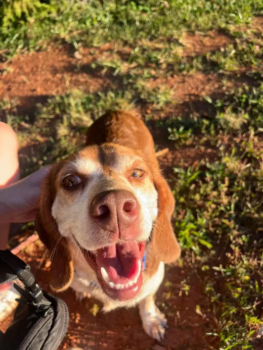 Plum - At shelter available 10/8