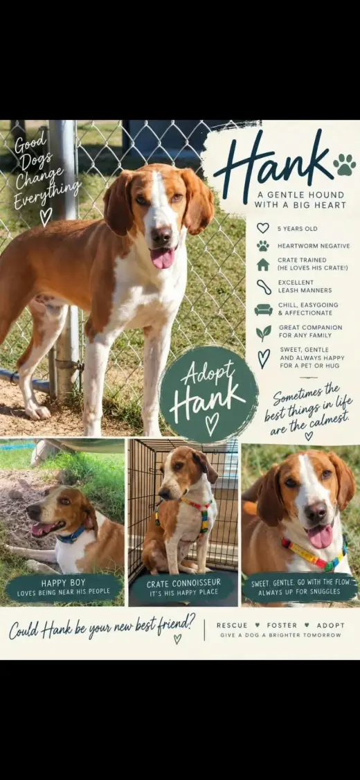 HANK