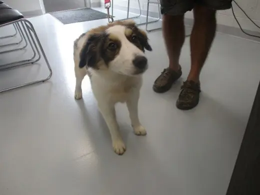 WINNIE