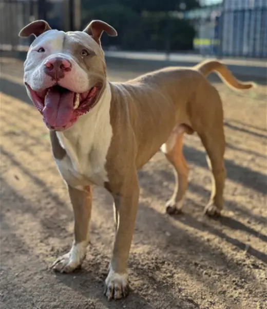 TUCKER