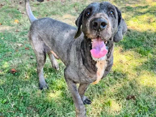 KERCHAK