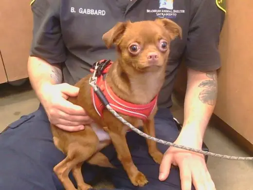 PACO