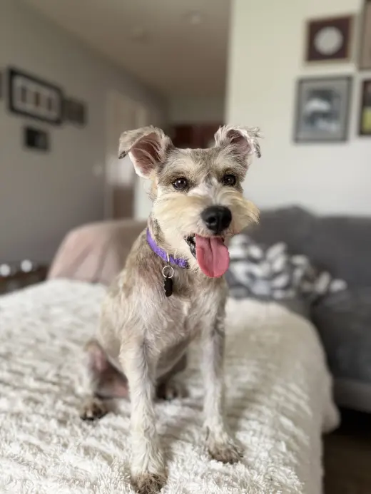 Murphy