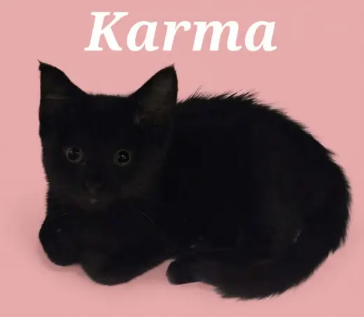 Karma