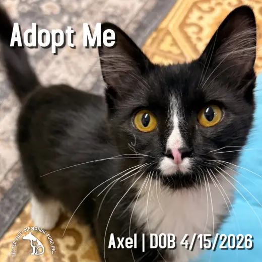 Axel