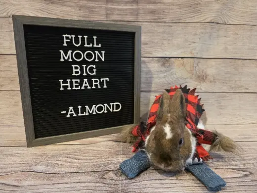 Almond