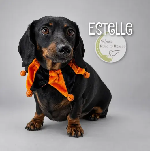 Estelle