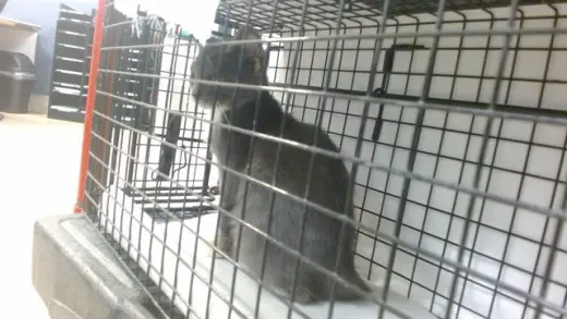 TED FURRY