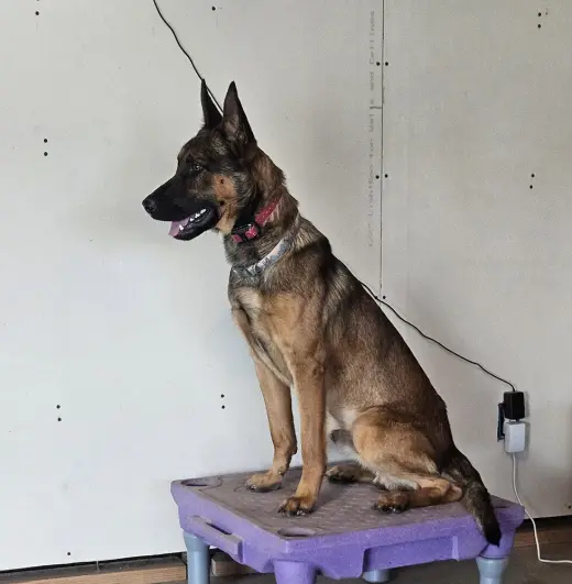 Marty - Located in CO