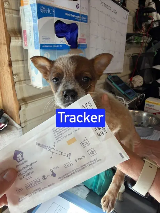 KP Tracker