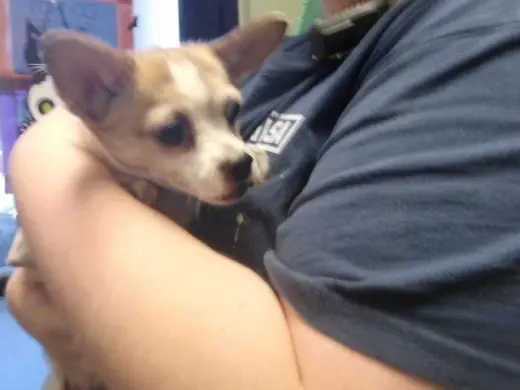 FIDGET