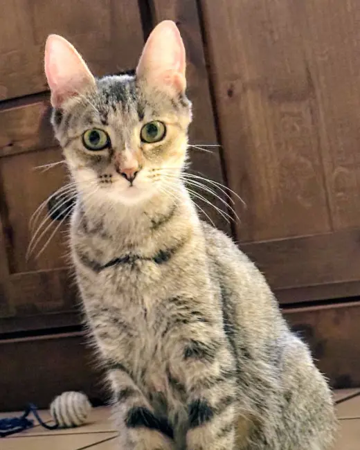 Winnie
