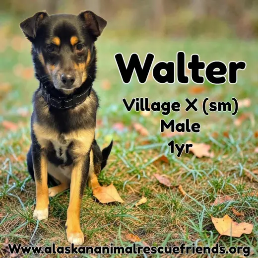 Walter
