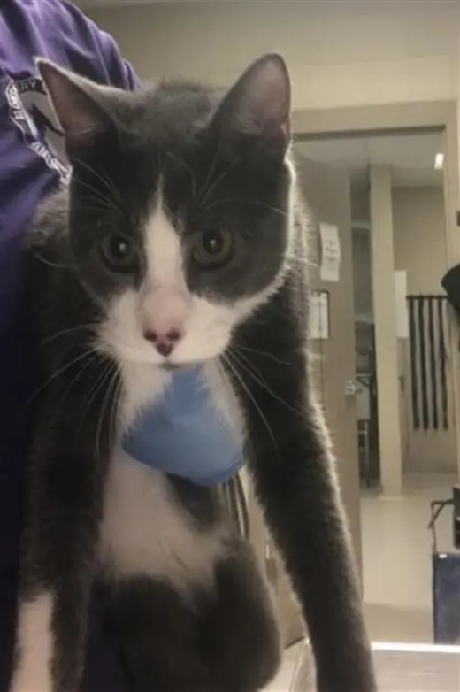 PIERRE