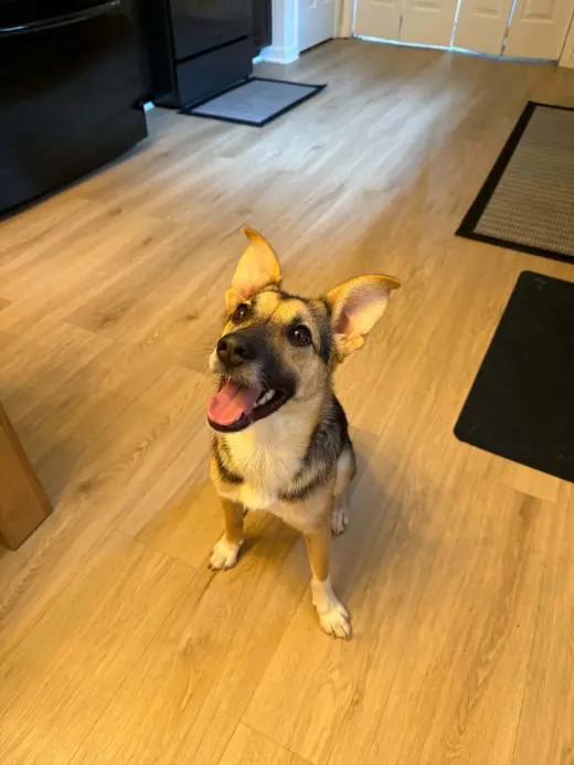 Sabine