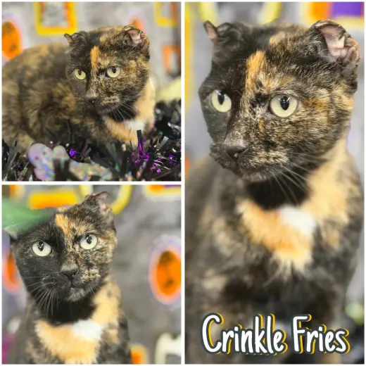 Crinkle Fries