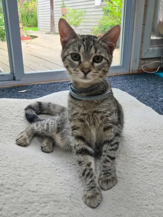 Pablo