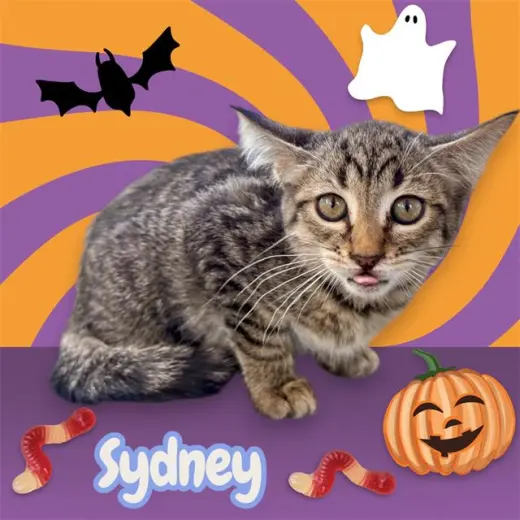 *SYDNEY