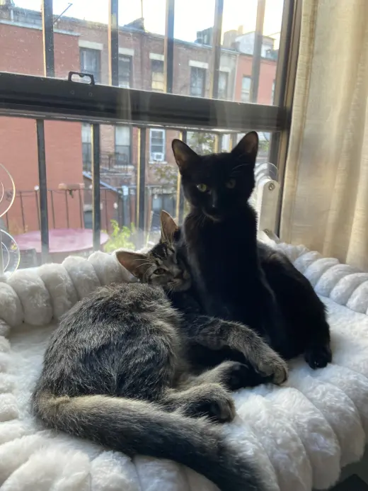 Gladys and Mellie