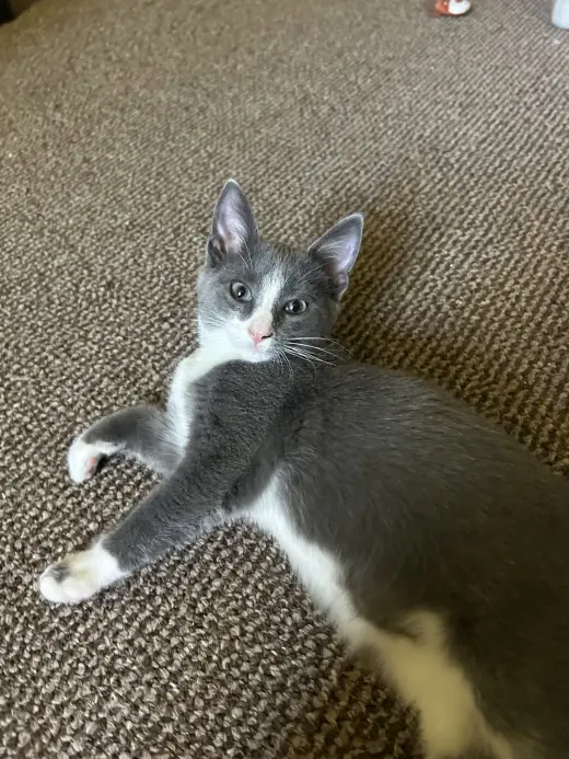 Minnie