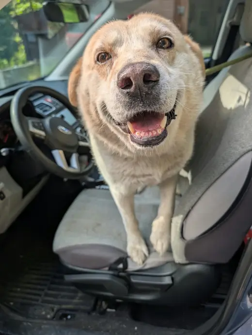 Tommy