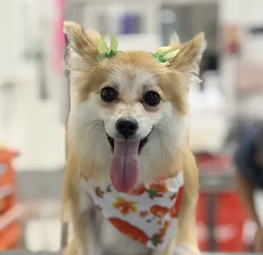 Fiona