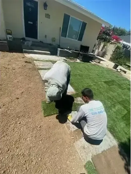 Landscaping and Concrete