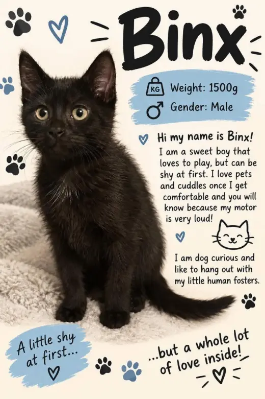 Binix