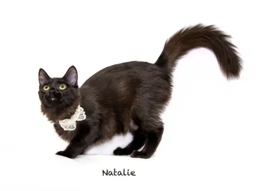 Natalie
