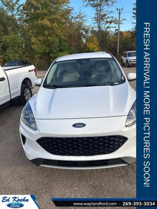 Ford Escape 2020 AWD SE 4dr SUV