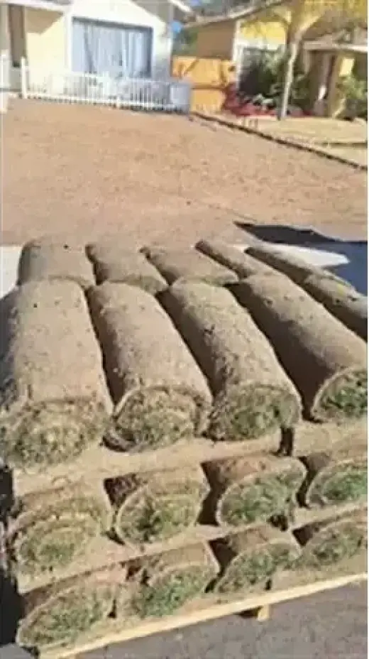 Jardinero Econoómico