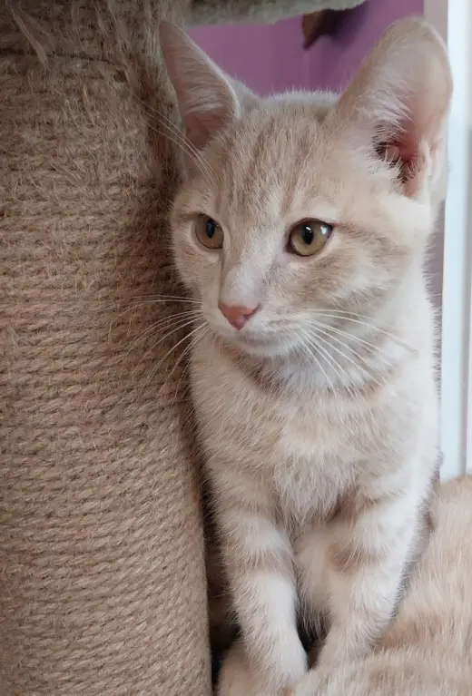 Xanthe * IN FOSTER *