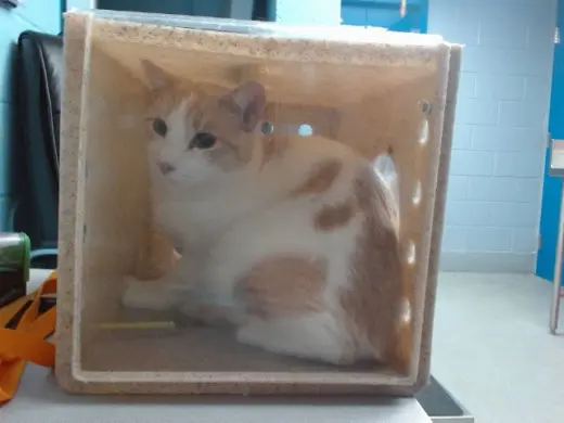 PIERRE