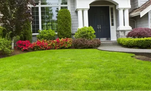 Expertos en Lawn Care