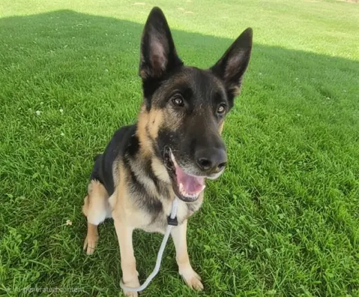 RANGER