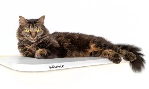 Winnie