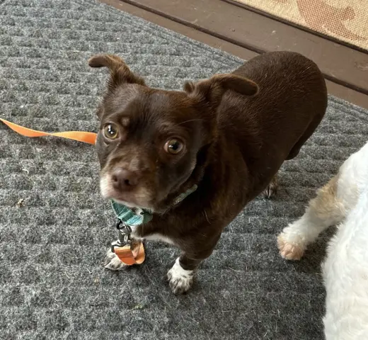 Rusty