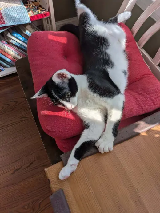 Minnie