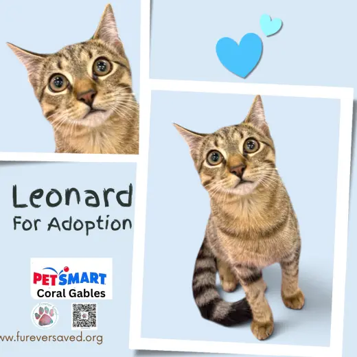 Leonard