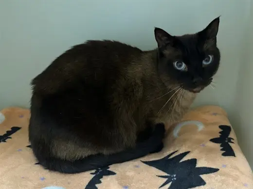ELWOOD