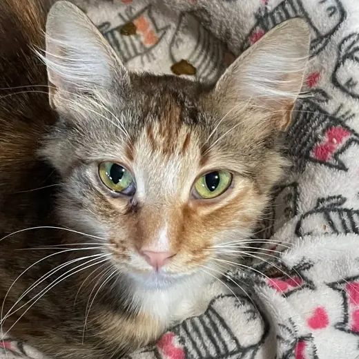 Glenda (Courtesy Posting)
