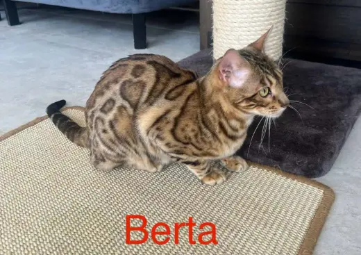 Berta