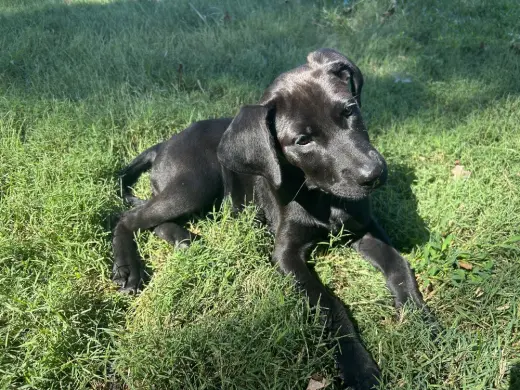 Winnie