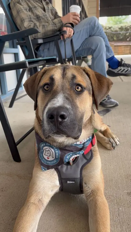 Duke