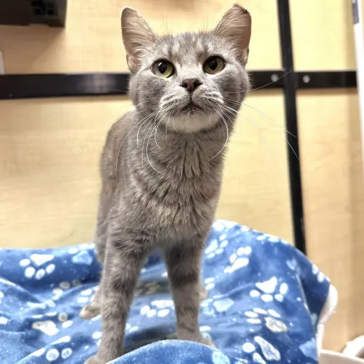 Matilda