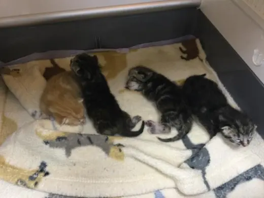 A1930105